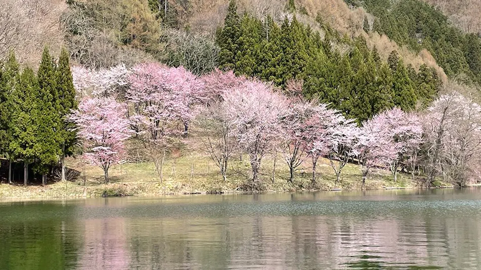 Hakuba Tokyu Hotel