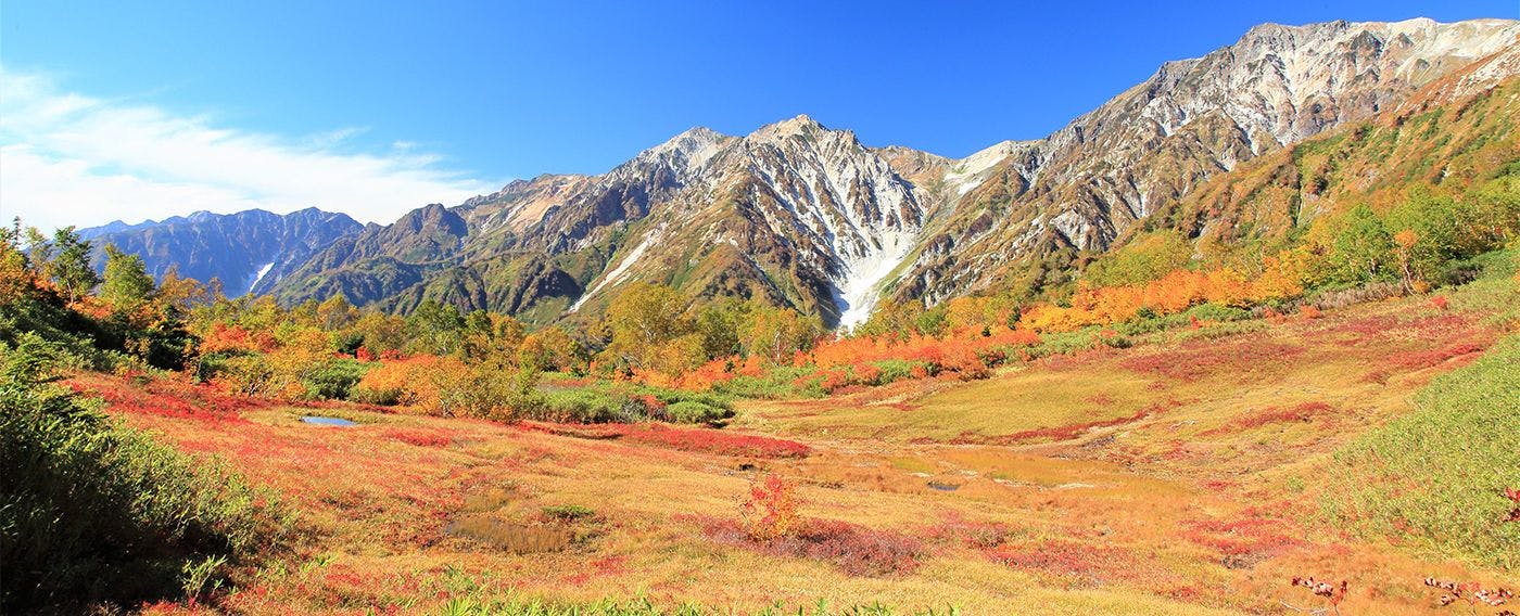 写真提供：栂池ビジターセンター