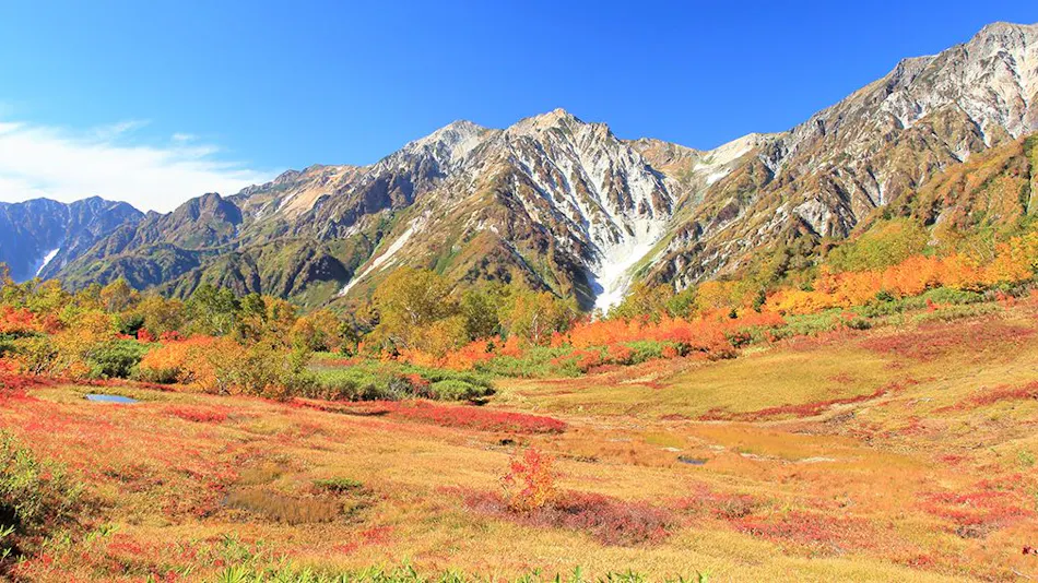 Hakuba Tokyu Hotel