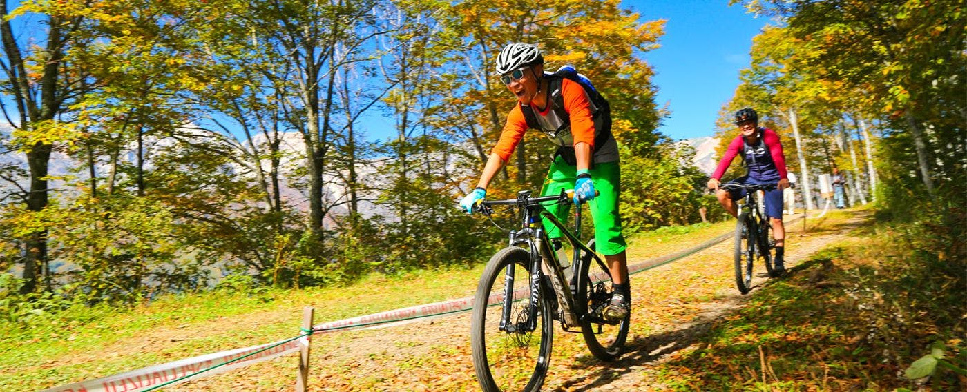 マウンテンバイク