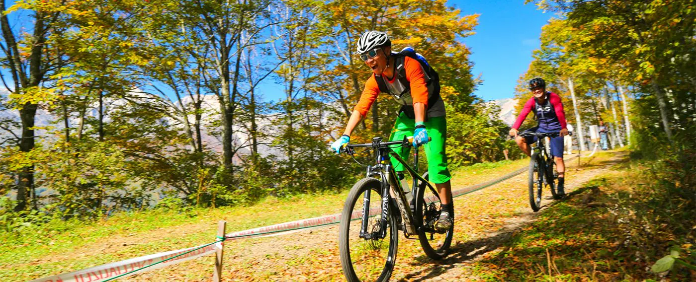 マウンテンバイク