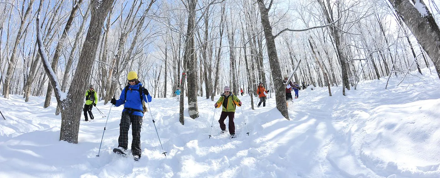 スノートレッキング