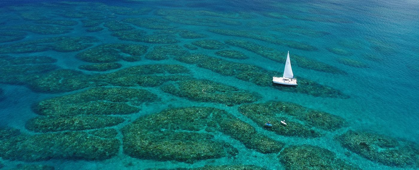 迎着海风，乘坐双体帆船前往珊瑚礁遍布的海域。