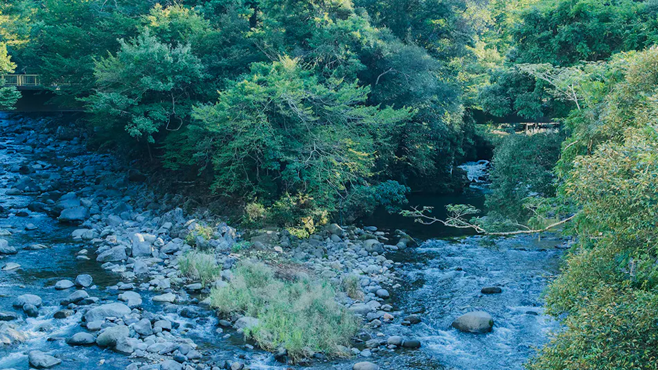 Ochiairo