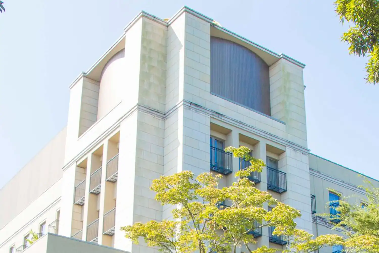 รูปลักษณ์ภายนอก