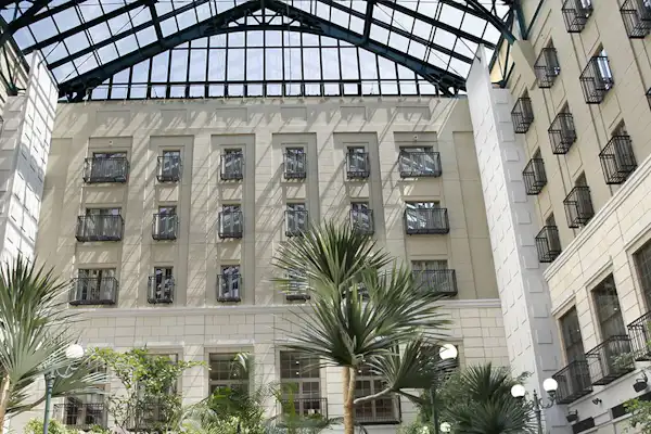 รูปลักษณ์ภายนอก