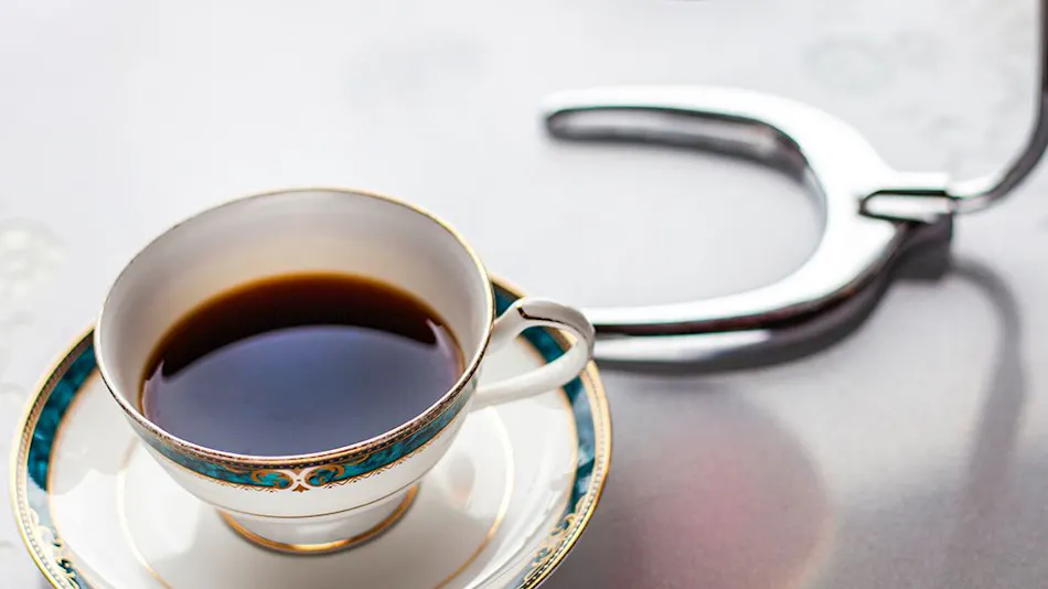 Gamagori Classic Hotel