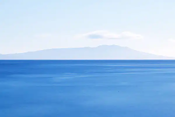 ตัวอย่างอาหาร