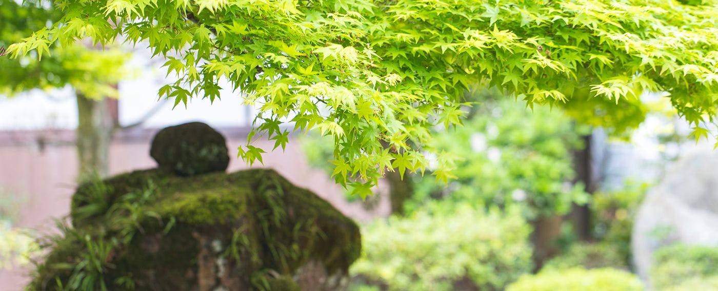 萩の宿　常茂恵