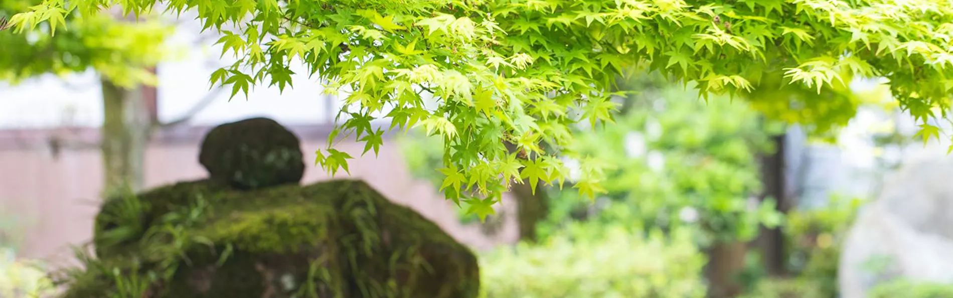 萩の宿 常茂恵