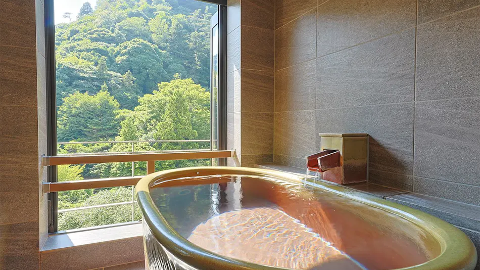 Arima Onsen Gekkoen Korokan