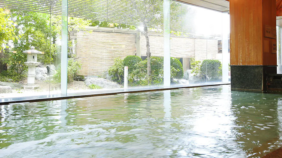 Hida Takayama Onsen Takayama Green Hotel