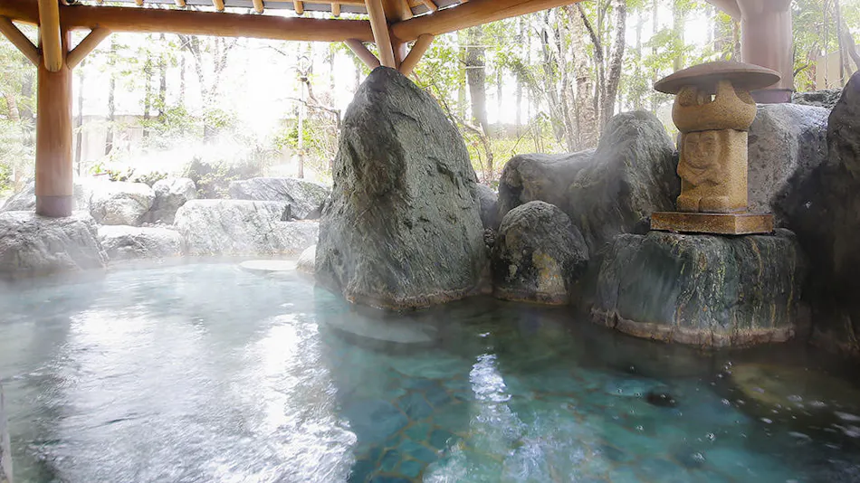 Hida Takayama Onsen Takayama Green Hotel