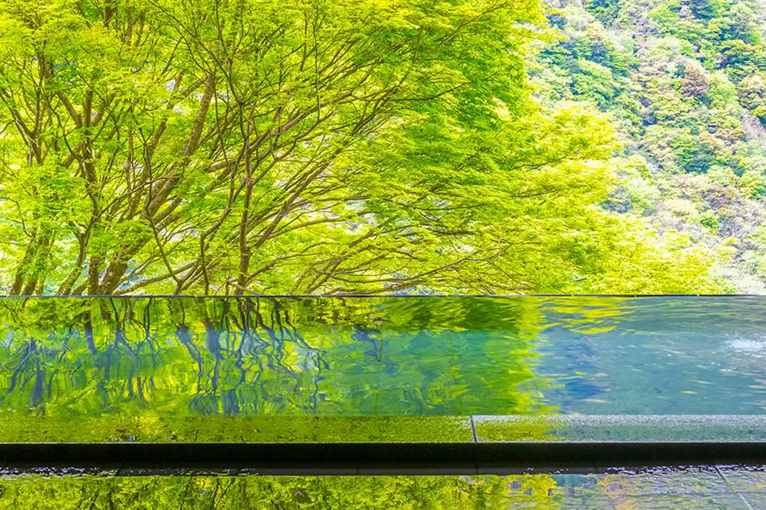 ห้องอาบน้ำรวม