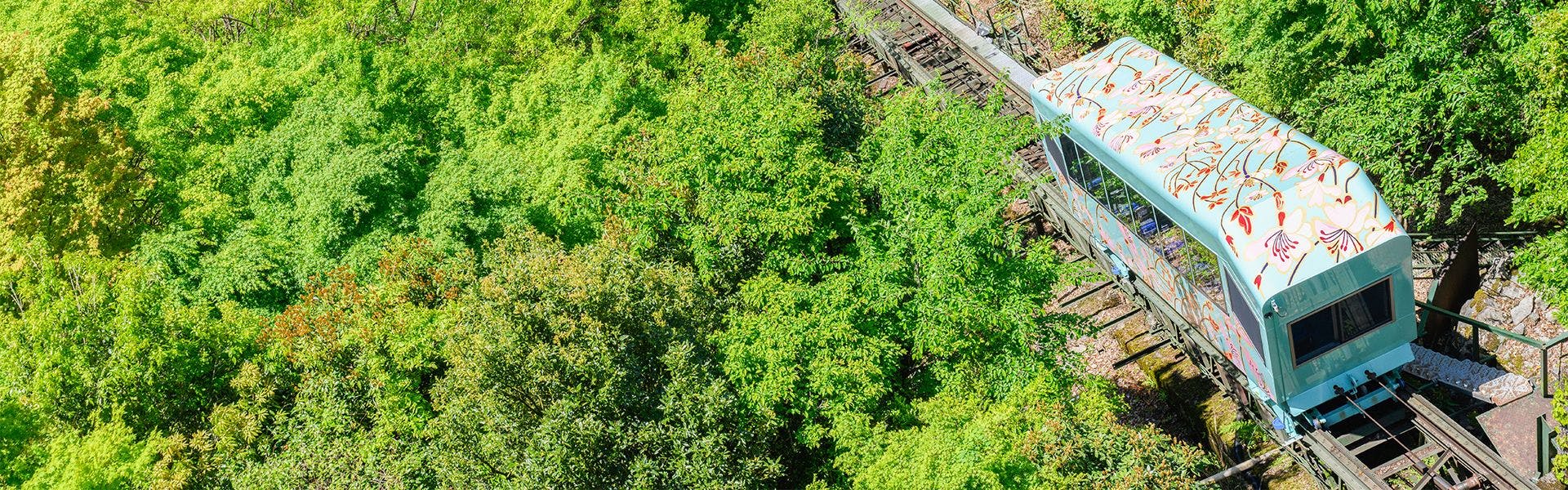 和の宿　ホテル祖谷温泉