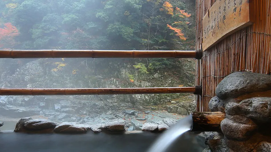 Hotel Iya Onsen