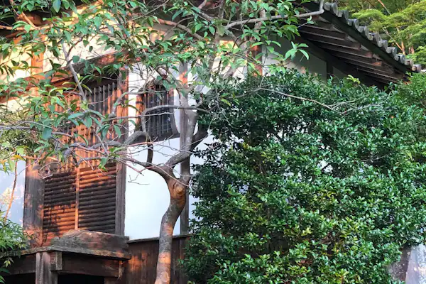 สวนกุหลาบ