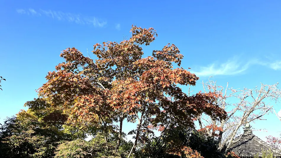 Chikurin-in Gunpoen