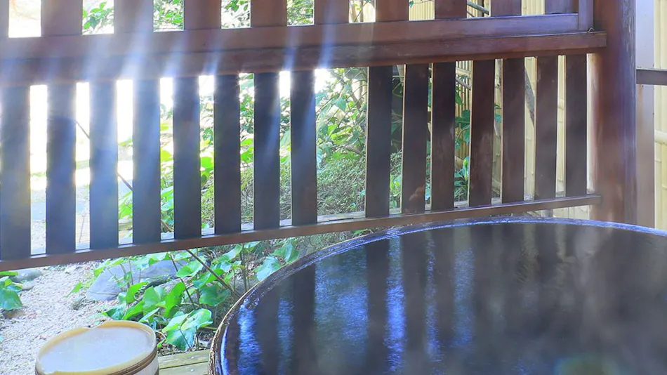 Kinugawa Onsen Hana no Yado Matsuya