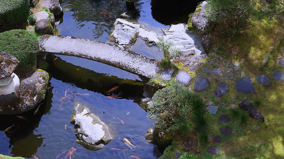 Kinugawa Onsen Hana no Yado Matsuya