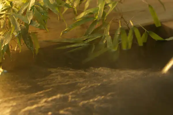 น้ำพุร้อน