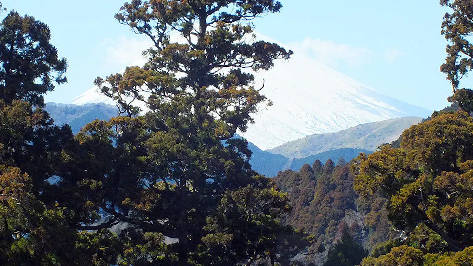 Hana no Yado Fukuya