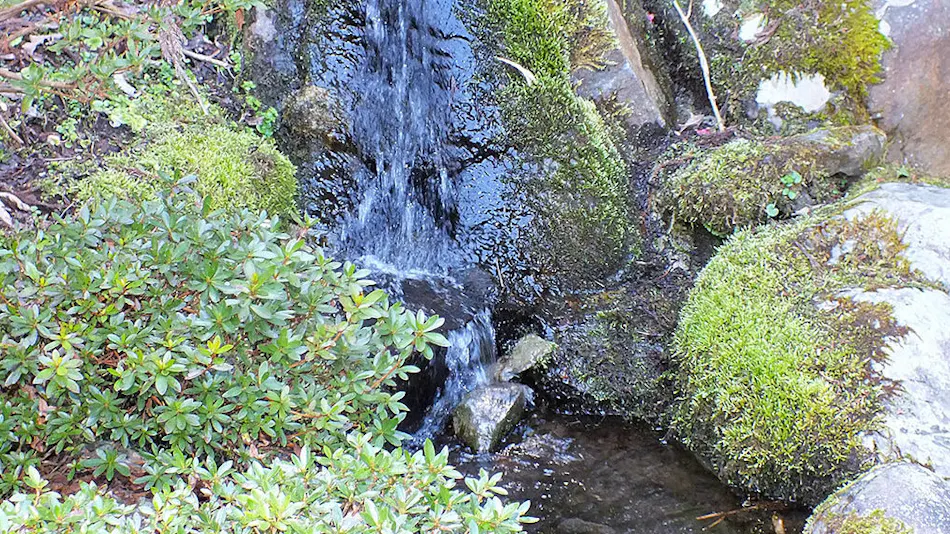 Hana no Yado Fukuya