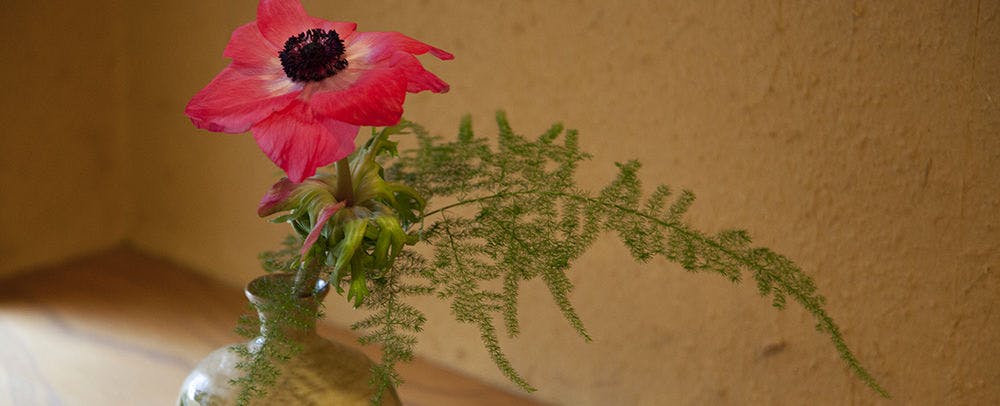 Tabist Chikuba Shinyotei Hakodate Yunokawa Onsen