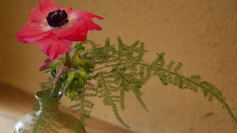 Tabist Chikuba Shinyotei Hakodate Yunokawa Onsen