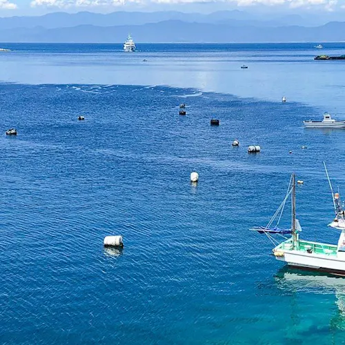 箱根 熱海 伊豆の温泉の宿で 釣り をご紹介 最上のひとときをどうぞ 一休 Com 箱根 熱海 伊豆の温泉の宿で 釣り をご紹介 最上のひとときをどうぞ 一休 Com