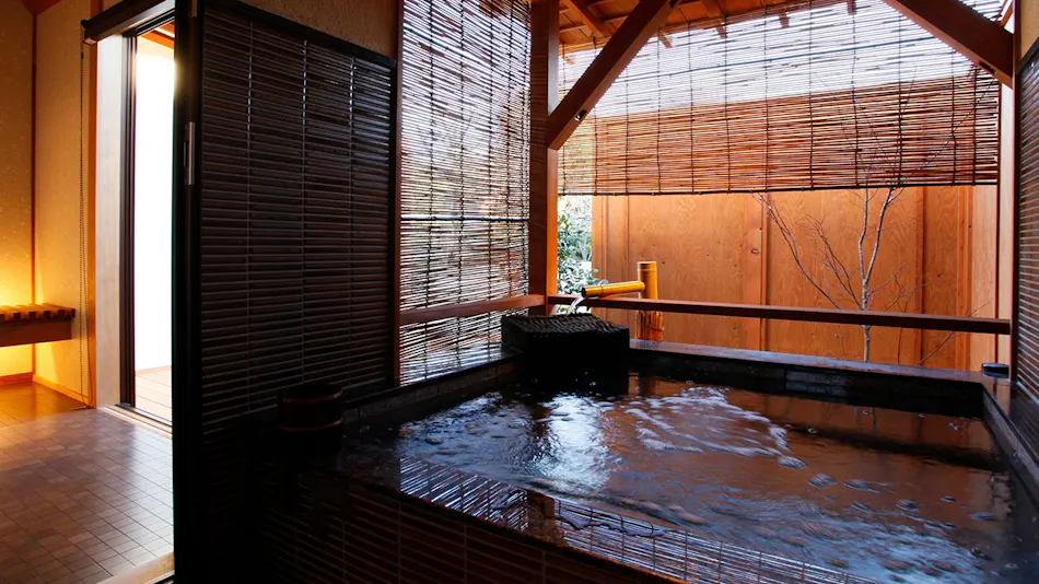Itoyanagi Bekkan Hanare no Tei Wajoen