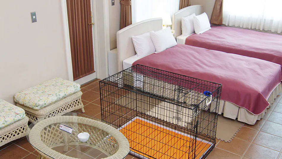Hotel Blueberry Hill Katsuura