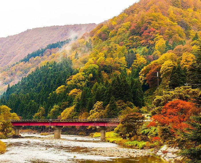 ゆめみの宿 観松館