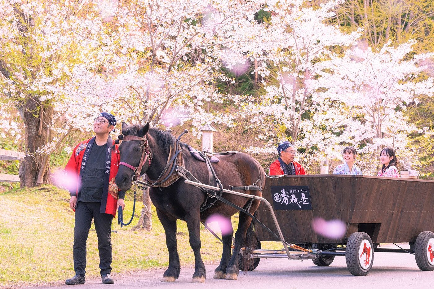 アクティビティ