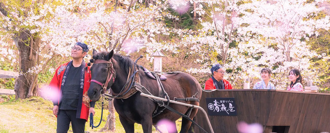 アクティビティ