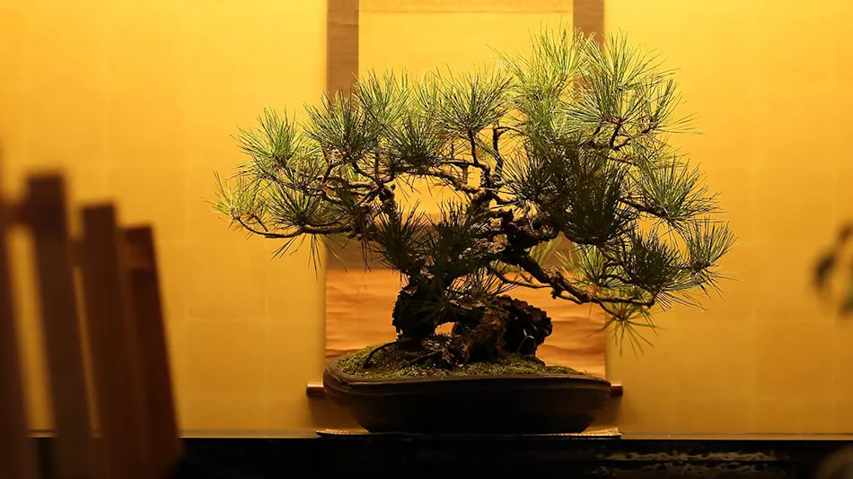 Gion Shinmonso