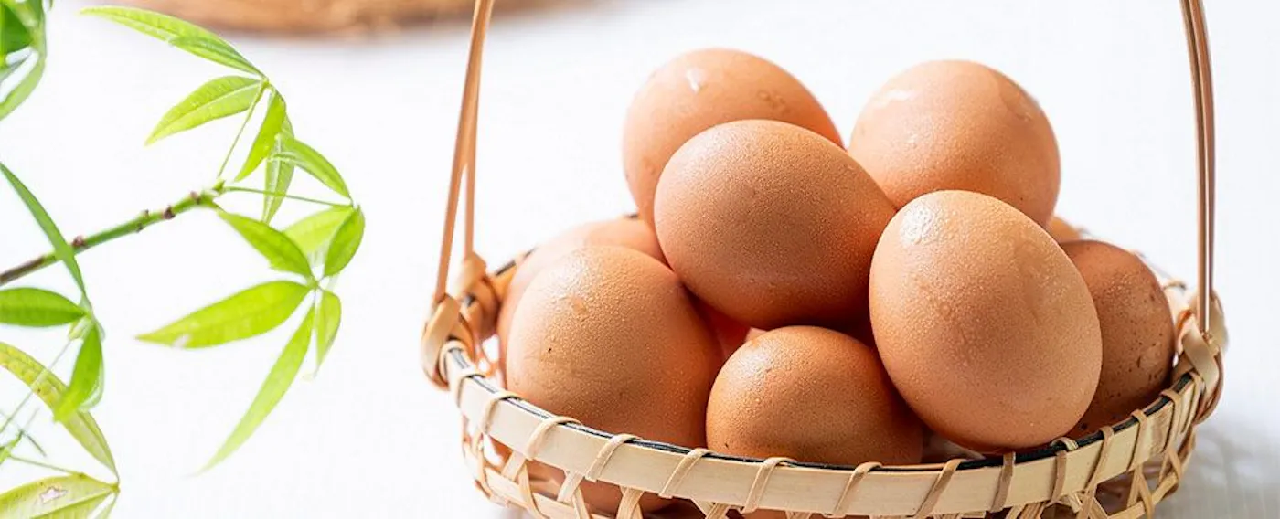 世田谷産「もみじ」