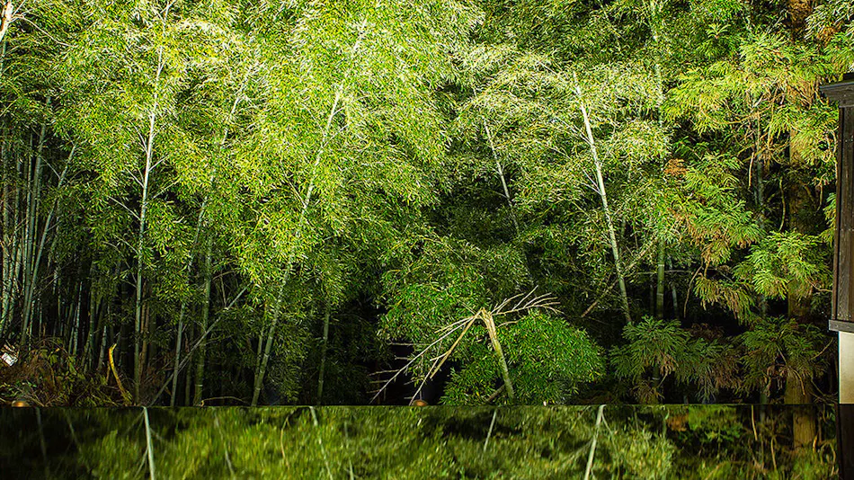 Mori no Sumika Resort & Spa