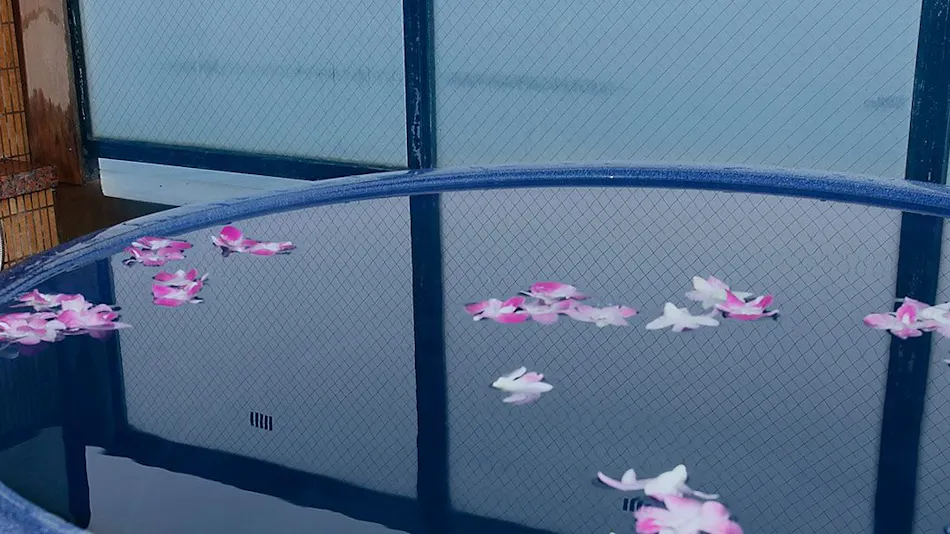 Minamichita Onsen-go Genjiko