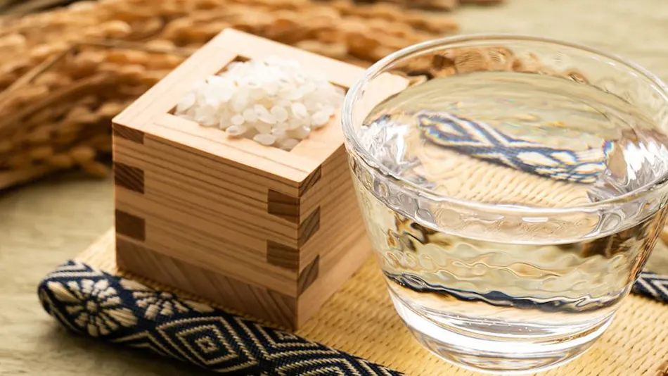 Hagi Onsen Yoimachino Yado Hagi Ichirin