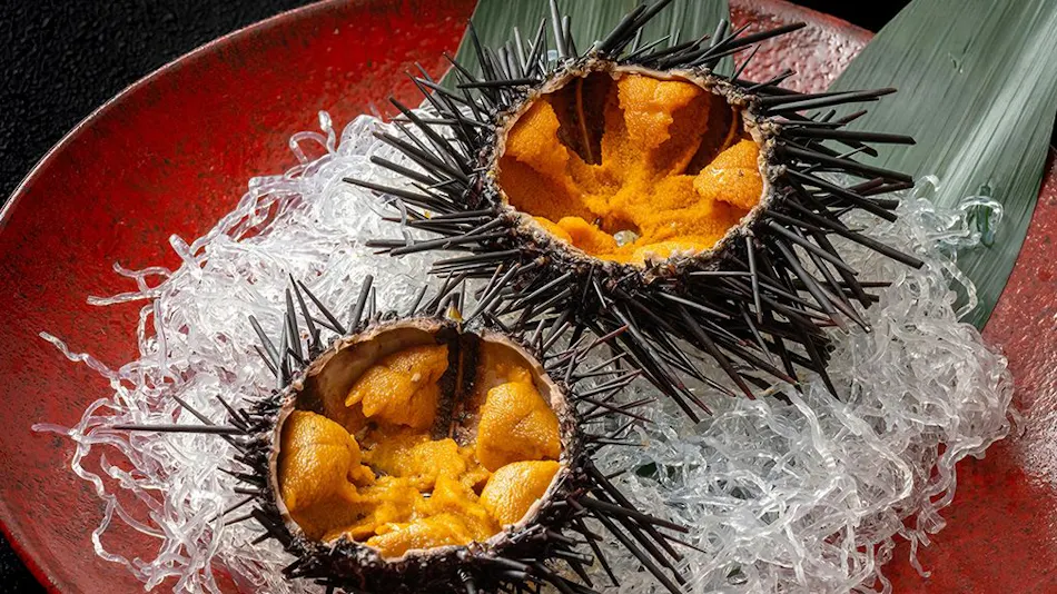 Hagi Onsen Yoimachino Yado Hagi Ichirin