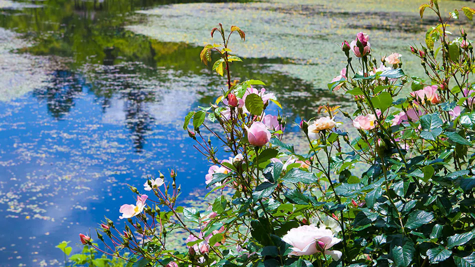 RUZE Villa