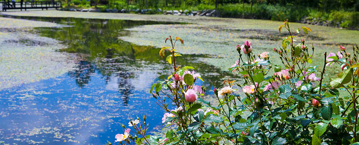 軽井沢レイクガーデン