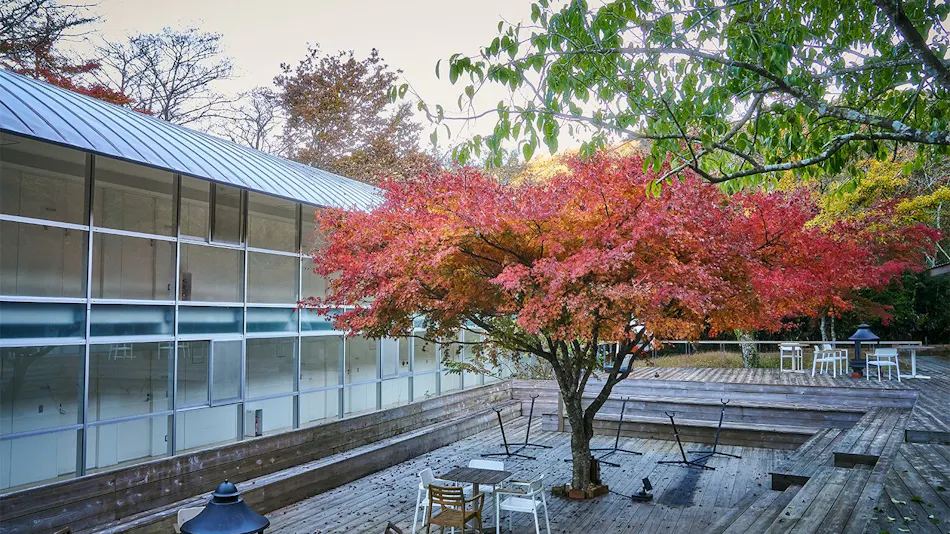 Hakone Retreat Fore