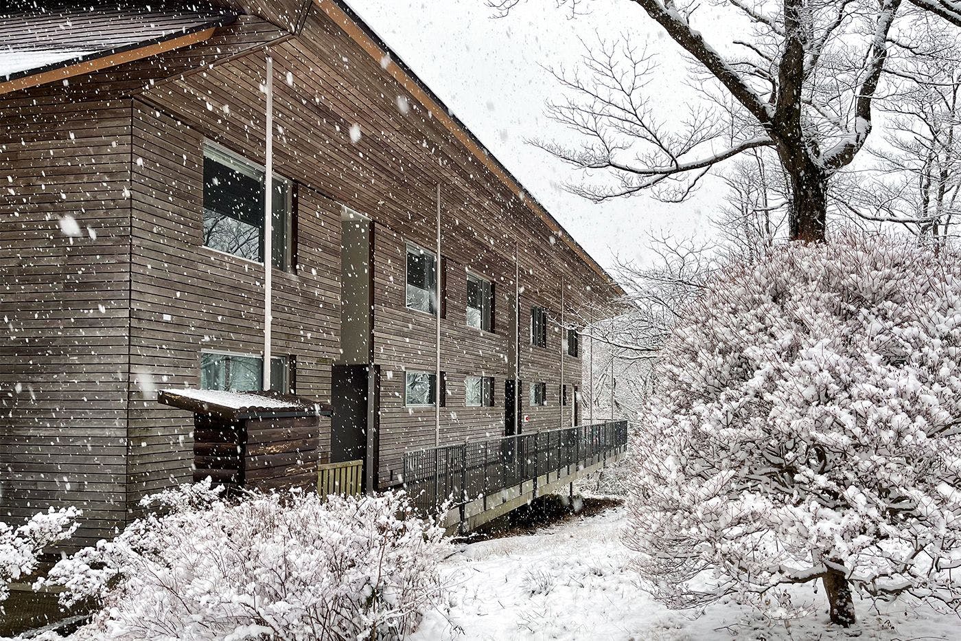 Musim Sejuk - Winter -