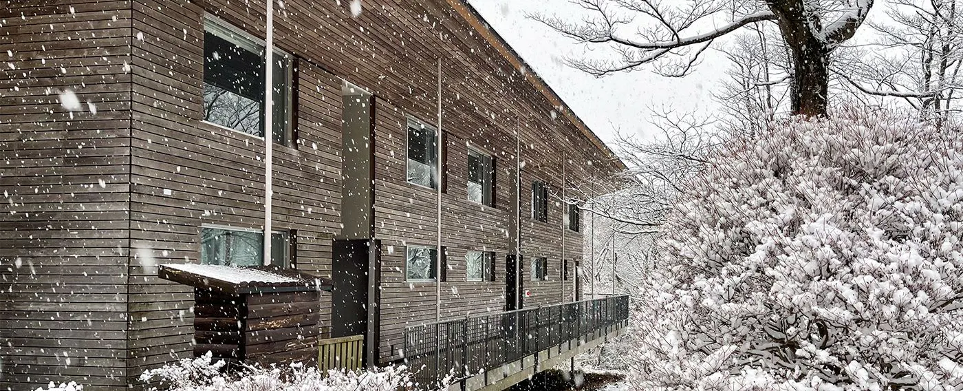 Musim Sejuk - Winter -