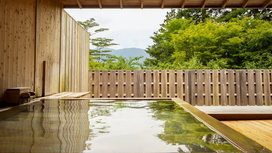 Hakone Retreat Fore