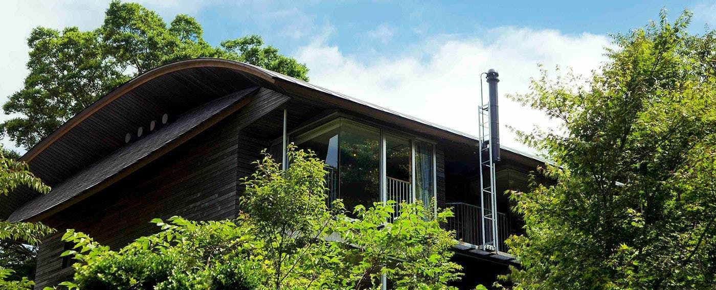 Semua kamar dikelilingi pepohonan, memberikan suasana seperti vila di tengah hutan.