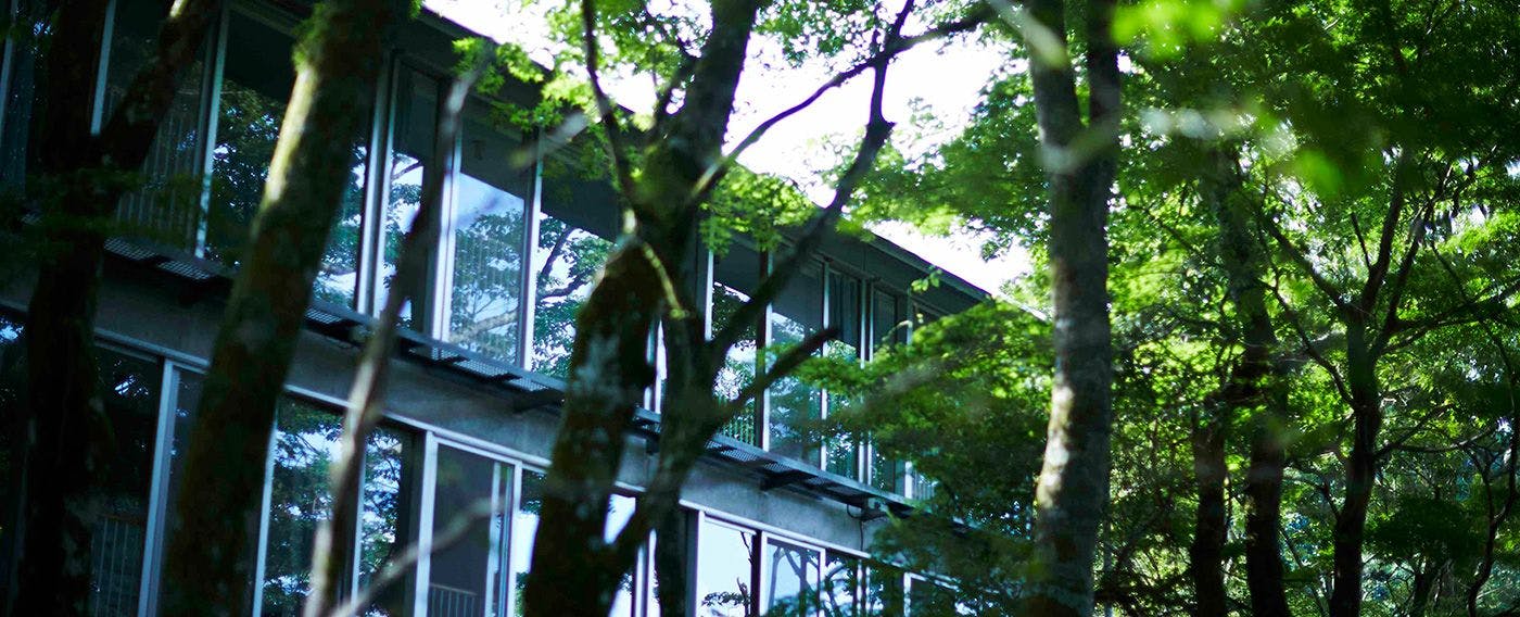 Ruang sederhana dan modern dengan cahaya lembut yang masuk melalui jendela