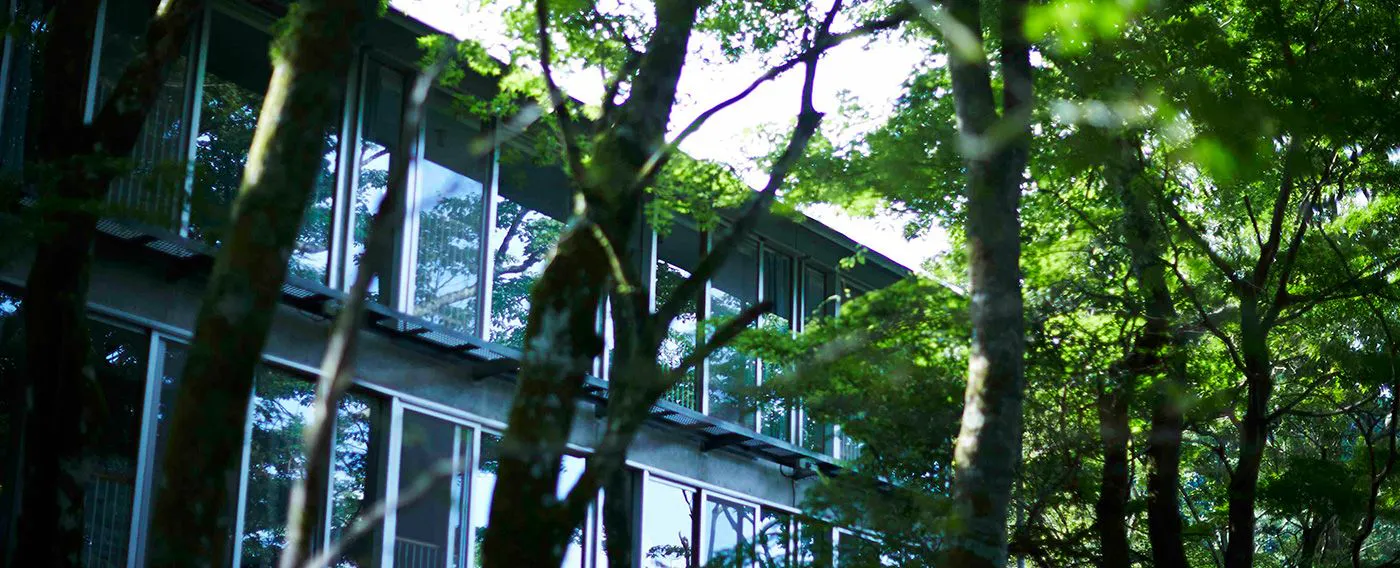 Ruang sederhana dan modern dengan cahaya lembut yang masuk melalui jendela